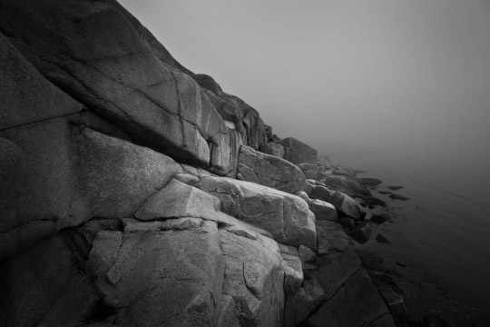 Förhandsvisning av bild