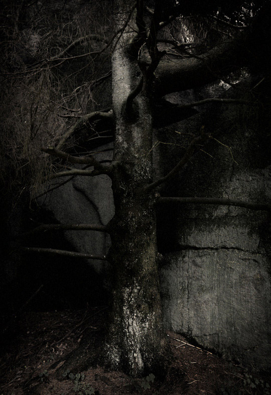 Förhandsvisning av bild