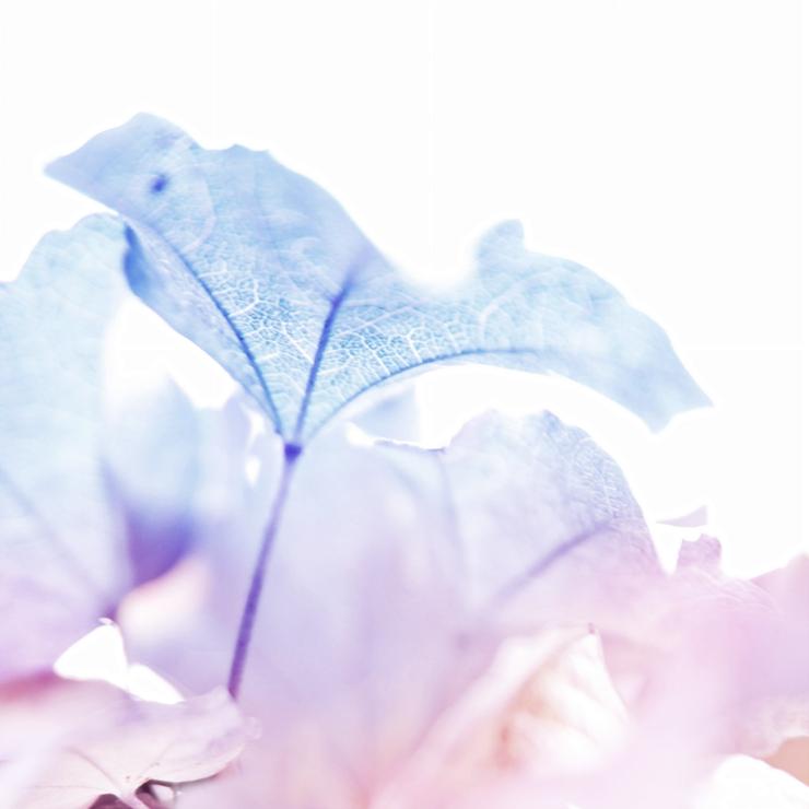 Förhandsvisning av bild