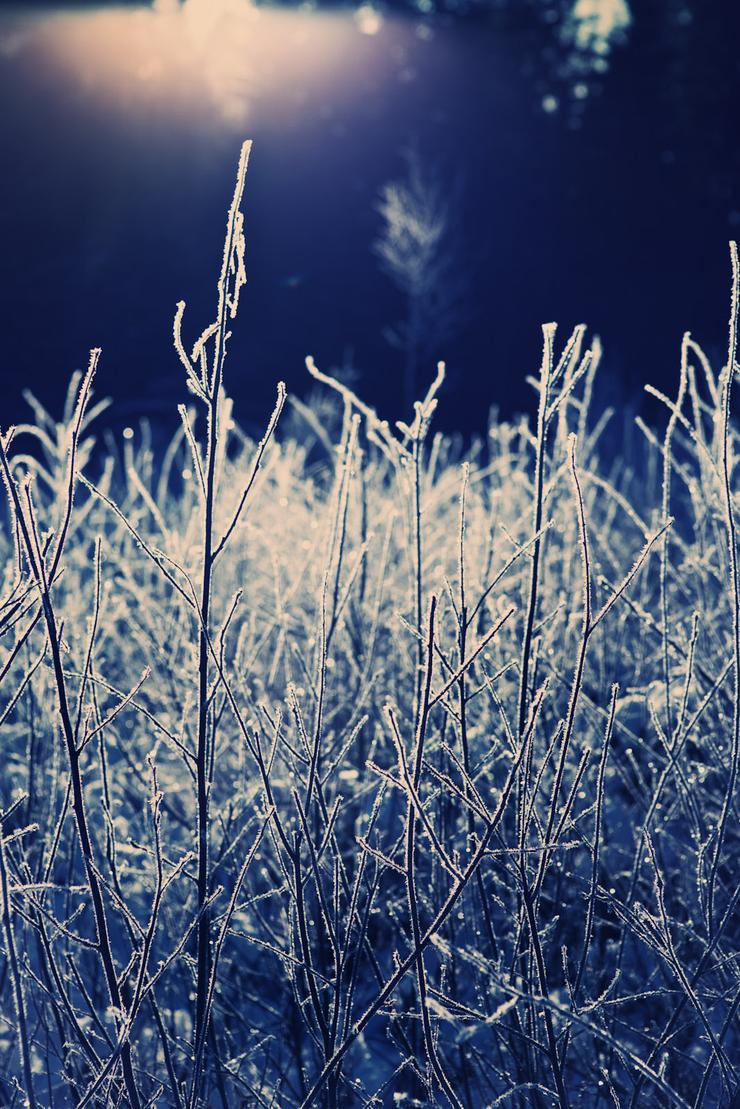 Förhandsvisning av bild