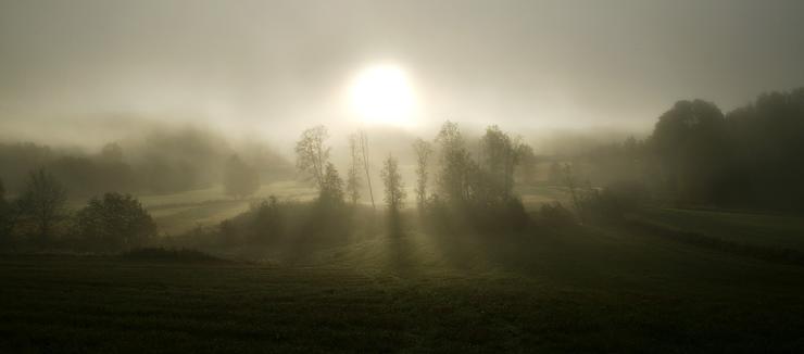 Förhandsvisning av bild