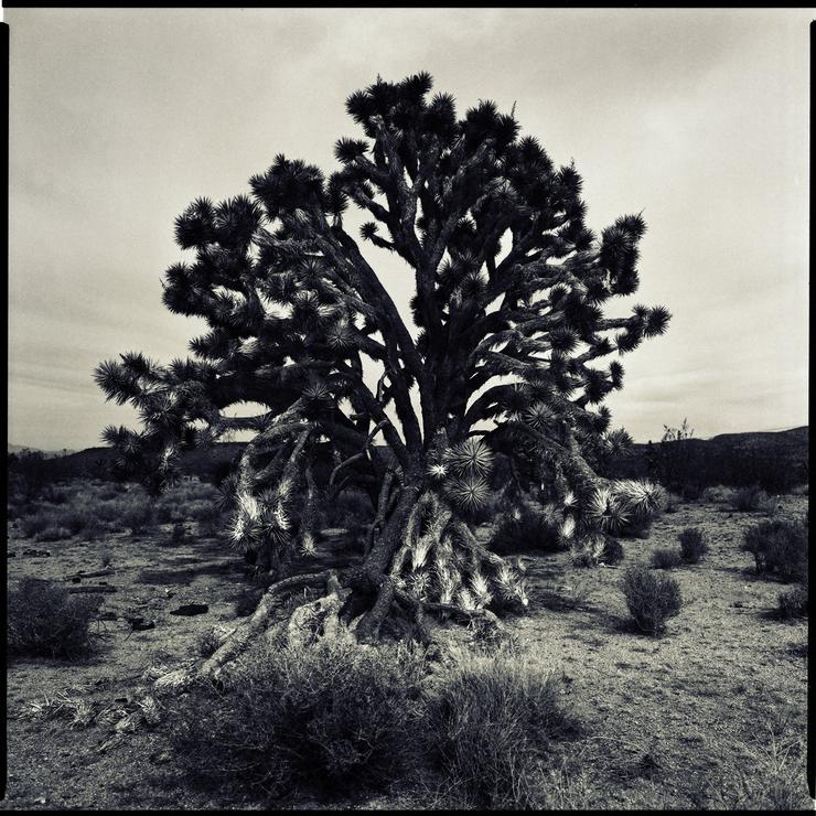 Förhandsvisning av bild