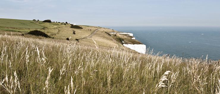 Förhandsvisning av bild