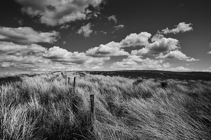 Förhandsvisning av bild