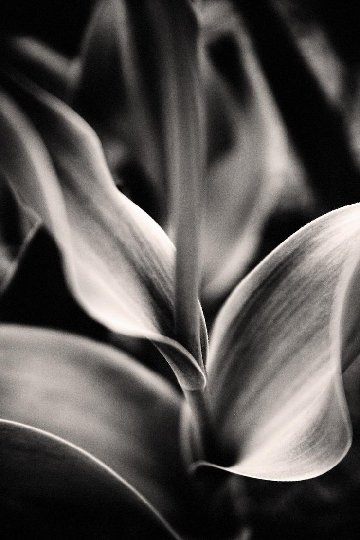 Förhandsvisning av bild