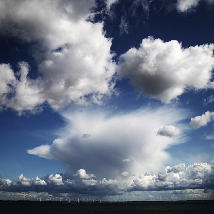 Förhandsvisning av bild