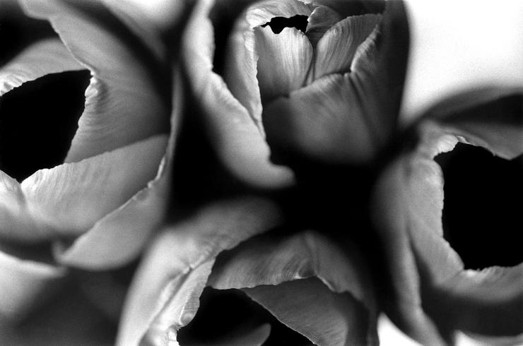 Förhandsvisning av bild