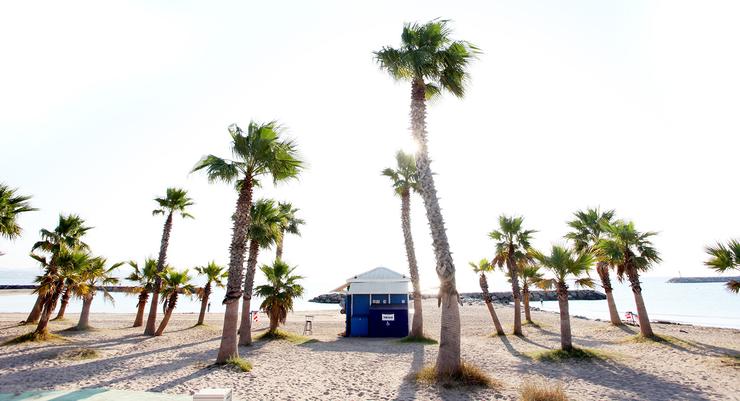 Förhandsvisning av bild