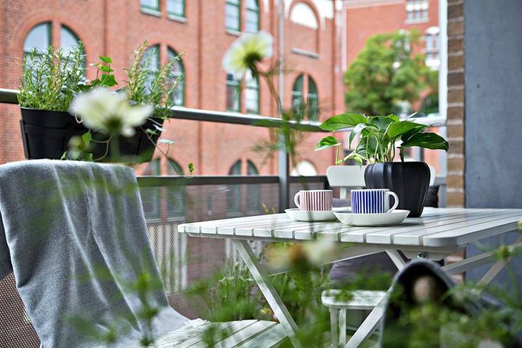 Förhandsvisning av bild