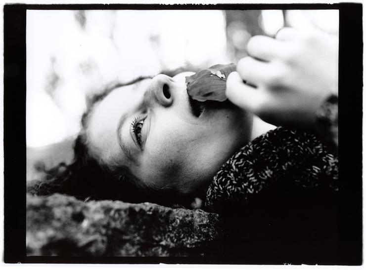 Förhandsvisning av bild