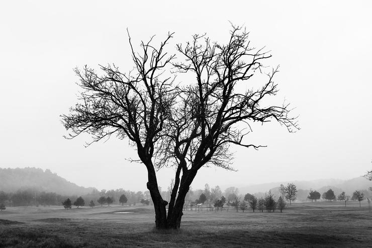 Förhandsvisning av bild