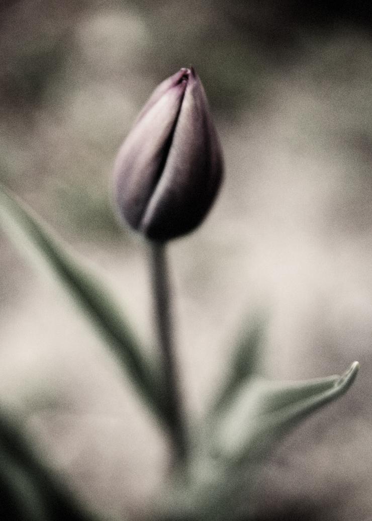 Förhandsvisning av bild